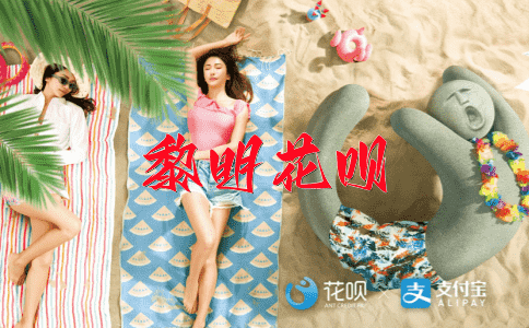 意兴盎然花呗